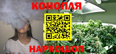 стаф Жуковский