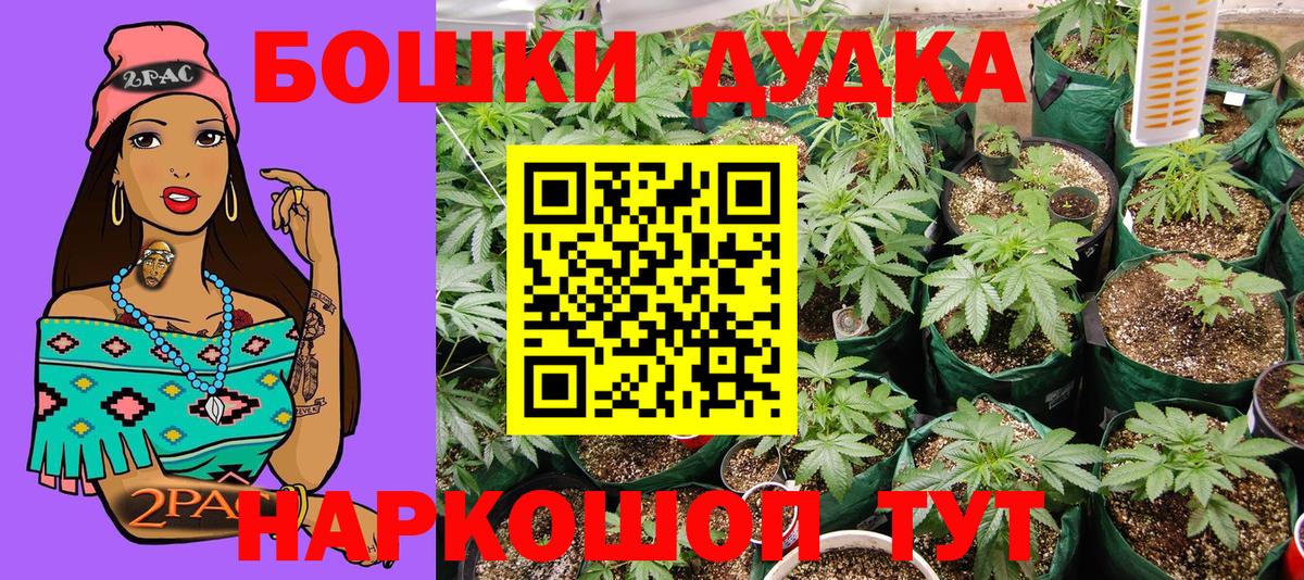 Каннабис ГИДРОПОН Красный Сулин